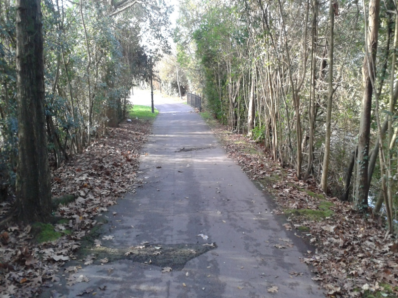 Behobia eta Punttas arteko bidegorria berritzeko lanak hasi dira