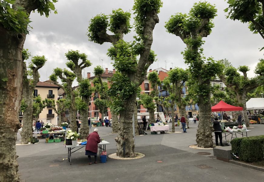Azoka bere osotasunean itzuliko da larunbat honetan Urdanibia plazara