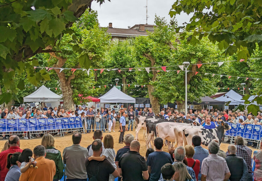Ekainaren 12ra arte aurkeztu daitezke  XXXVII. Irun Hiria Argazki Lehiaketan parte hartzeko lanak