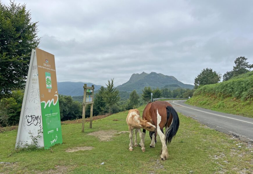 Turismo naturalak bizi duen goraldiaren erakusle da Lapurriturri