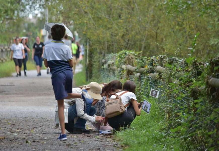 Ekoetxeak familian Txingudiko paduren sekretuak ezagutzeko yinkana prestatu du irailaren 15erako