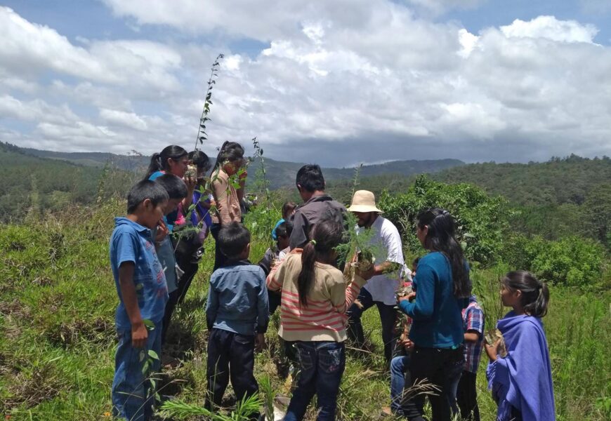 Urriaren 26ra arte bisitatu ahalko da “Lekua irabazten” erakusketa Kabigorrin