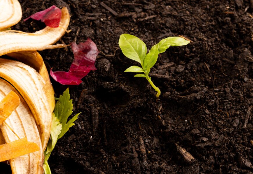 Txinzerrek etxeko konpostajea bultzatzeko kanpaina abiatu du