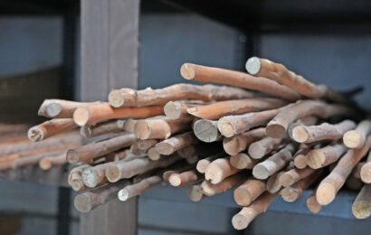 Santa Ageda bezpera kantuan ospatuko dute gaur Erdialdeko Auzo Elkartean Santa Ageda bezpera kantuan ospatuko dute gaur Erdialdeko Auzo Elkartean