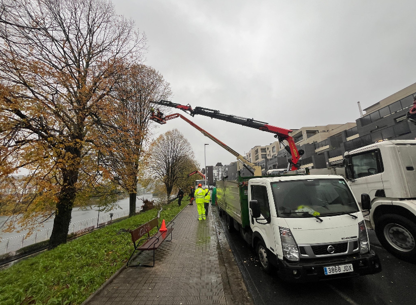 Erorketa arriskuan dauden Artiako zuhaitzak mozteko lanek trafiko etenak eragingo dituzte gaur berriro Erorketa arriskuan dauden Artiako zuhaitzak mozteko lanek trafiko etenak eragingo dituzte gaur berriro