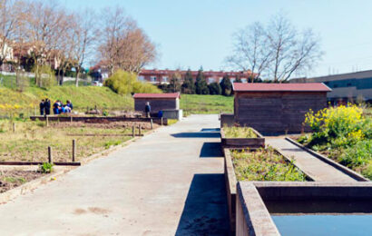 Puianako baratze ekologikoen zozketaren emaitzak argitaratu dira Puianako baratze ekologikoen zozketaren emaitzak argitaratu dira