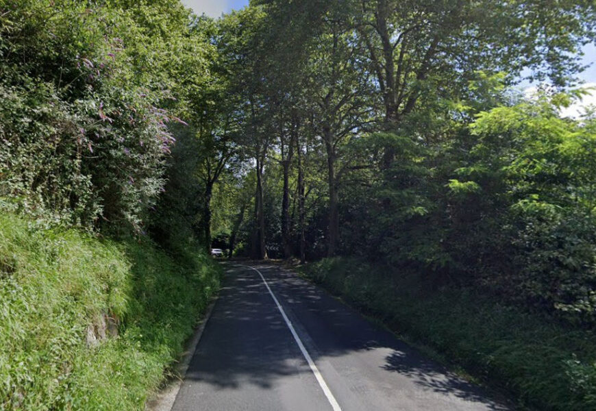 Olaberria auzoko GI-3452 errepidean inausketa lanak egingo dira datorren astean zehar Olaberria auzoko GI-3452 errepidean inausketa lanak egingo dira datorren astean zehar