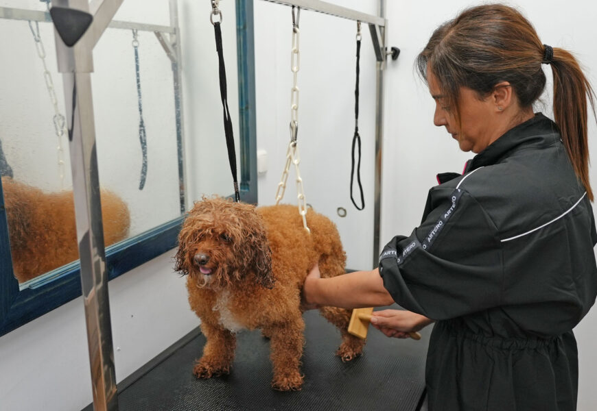 Garbi Goxok maskotentzako zerbitzu berriak gehitu ditu bezeroen bizitza errazten jarraitzeko Garbi Goxok maskotentzako zerbitzu berriak gehitu ditu bezeroen bizitza errazten jarraitzeko