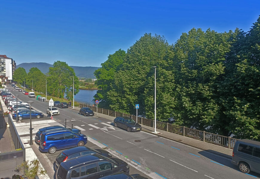 Juan Thalamas Labandibar kaleko bost ezki moztuko dira aste honetan Juan Thalamas Labandibar kaleko bost ezki moztuko dira aste honetan