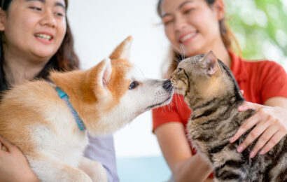 Argoiak elkarte kulturalak etxeko animaliei buruzko hitzaldia hartuko du asteazkenean