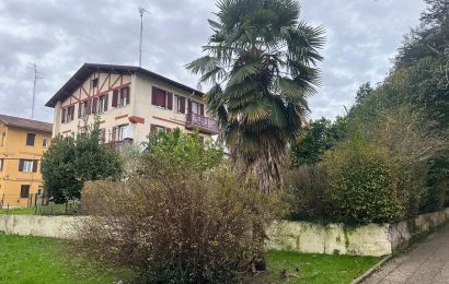 Irungo Udalak laguntza eskatu die herritarrei palmondoei eragiten dien mokodun gorriari aurre egiteko Irungo Udalak laguntza eskatu die herritarrei palmondoei eragiten dien mokodun gorriari aurre egiteko