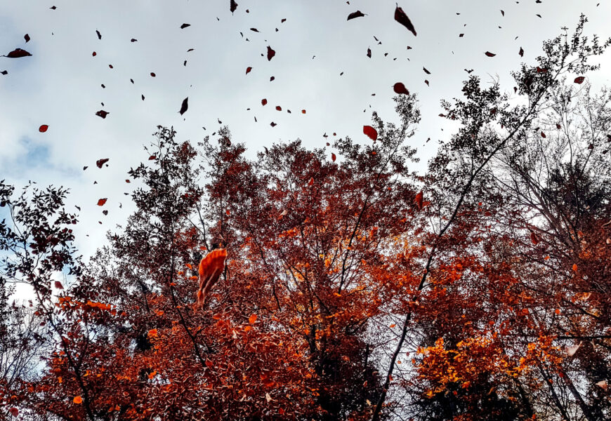 Haize ufada bortitzengatik abisu hori emana dago gaur egun osorako