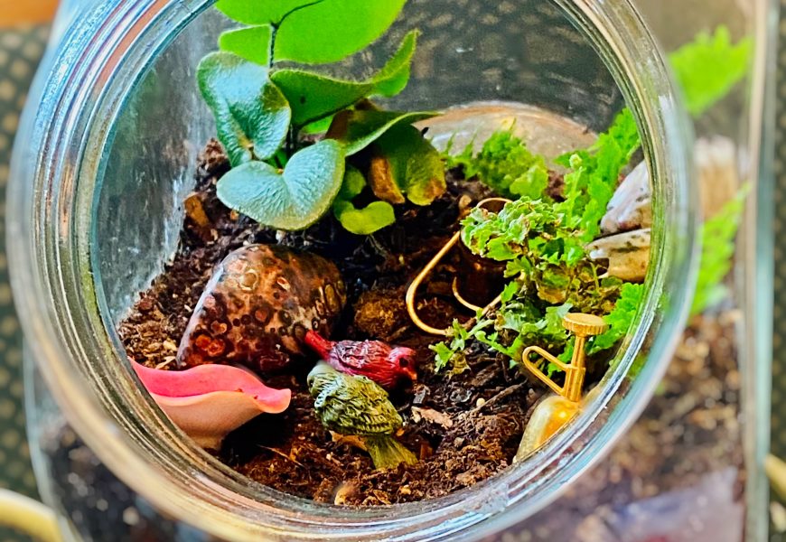 “Nire altxor naturala”: Ekosistema baten bizitza pote batean sortzeko tailerra antolatu du Ekoetxea Txingudik