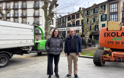 Urtean zehar hiriko 1.800 zuhaitzetan esku hartzea aurreikusten du Irungo Udalak