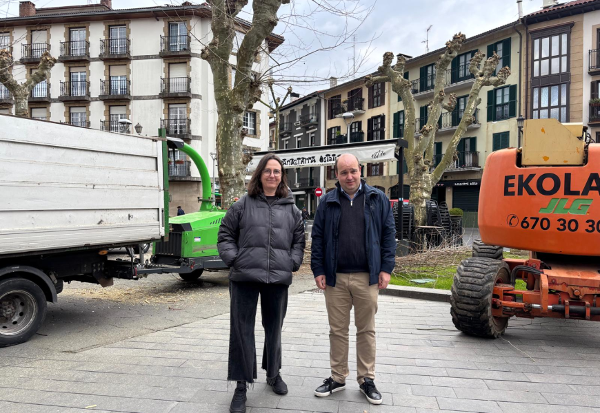 Urtean zehar hiriko 1.800 zuhaitzetan esku hartzea aurreikusten du Irungo Udalak