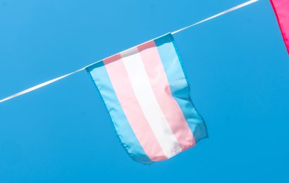 Irungo Udaletxeak bat egingo du Trans Ikusgarritasunaren Nazioarteko Egunarekin fatxada argiztatuz