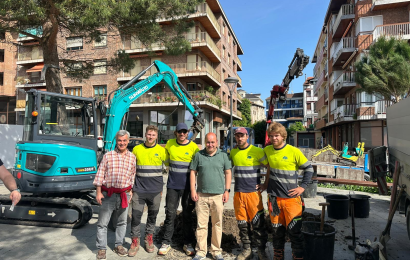 Irunek hiri-paisaia berritu du 115 zuhaitz landatuta