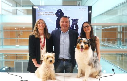 Gipuzkoako txakur-hitzordu handia Ficobara itzuliko da nazioarteko mailako erakusketa batekin