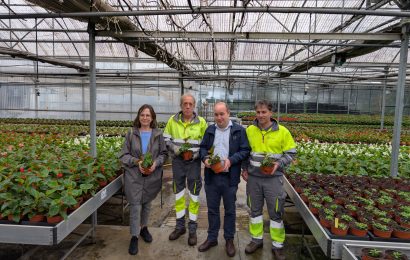 Irun kolorez jantziko da astelehenetik aurrera landatuko diren 27.000 landare baino gehiagorekin