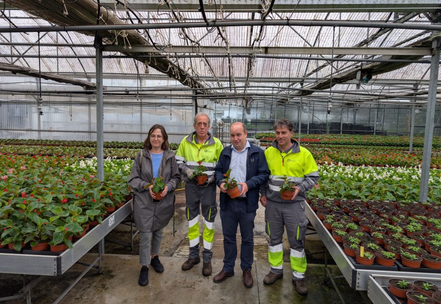 Irun kolorez jantziko da astelehenetik aurrera landatuko diren 27.000 landare baino gehiagorekin