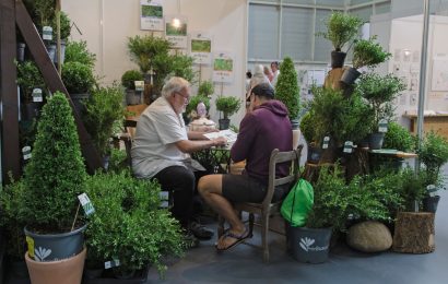 Bioterra azokak bere indarra berretsi du Ficoban 9.000 bisitari eta %90eko asetze-mailarekin