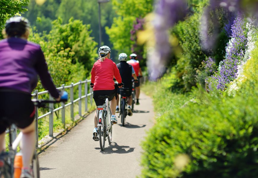 Irun, Hondarribia eta Hendaia bizikletaz ezagutzeko doako bisita gidatuak antolatu dira irailaren 19 eta 20rako Irun, Hondarribia eta Hendaia bizikletaz ezagutzeko doako bisita gidatuak antolatu dira irailaren 19 eta 20rako