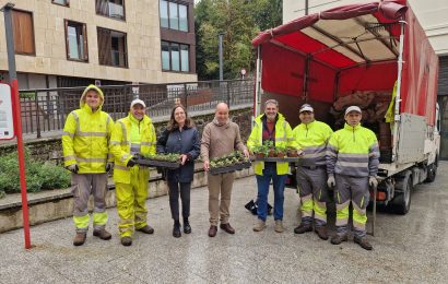 Neguko 46.000 landare baino gehiago landatzen hasi dira Irungo kale eta plazetan